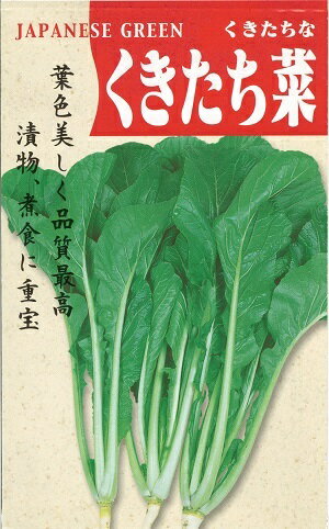 野菜種子 カブ菜「くきたち菜」 4ml(約1,020粒)/10ml/20ml【送料込み】 茎立菜 くきたちな 吹立菜 ふきたちな 唐菜 てんば菜 菜の花 緑黄色野菜 耐寒性 耐病性 越冬
