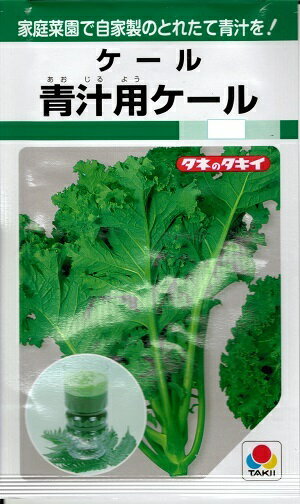 野菜種子 つけな タキイ種苗 青汁用ケール 5ml袋詰 【送料込み】