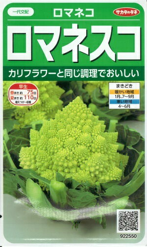 野菜種子 ロマネスコ「ロマネコ」　25粒（サカタのタネ）　【送料込み】カリフラワー ブロッコリー サ..