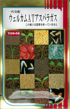 緑肥種子　『タキイ種苗』　クリムソンクローバー　ディクシー　60ml袋詰　(5平米分)　【送料込み】