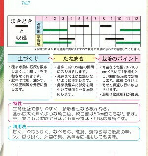 野菜種子 『ネギタネ』 サカタのタネ 石倉一本太葱 20ml袋詰 【送料無料】