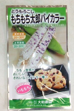 野菜種子　『大和農園』　とうもろこし種子　もちもち太郎バイカラー　20ml詰／1dl詰／1L詰　　【送料込み】