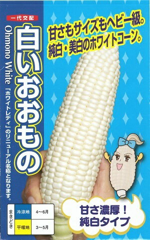 野菜種子 とうもろこし「白いおおもの」 50粒／200粒／500粒／2,000粒（ナント種苗） 【送料込み】 とうもろこし／トウモロコシ