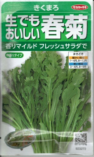 野菜種子　『サカタのタネ』　シュンギク種子　きくまろ　40ml袋詰　【送料込み】　株張りタイプ　約2500本(間引き前)