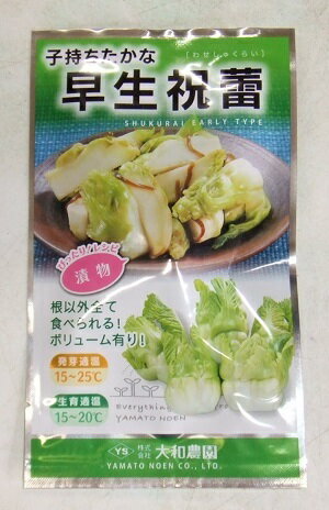 野菜種子 子持ちたかな「早生祝蕾」コート30粒/コート1,000粒(大和農園) 【送料込み】 漬菜 漬け菜 つけな ツケナ 高菜 たかな タカナ わせしゅくらい