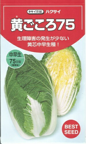 野菜種子 ハクサイたね タキイ種苗 黄ごころ75 0．5ml袋詰 【送料込み】