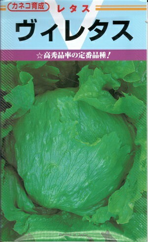 野菜種子　　『カネコ種苗』　　レタス種子　V(ヴイ)レタス　1ml詰(約380粒)／3ml詰／10ml詰／20ml詰／ペレット90粒詰／ペレット500粒詰／ペレット5000粒詰　　【送料込み】