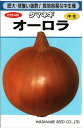 野菜種子 タマネギ「オーロラ」 2.8ml/20ml/1dl(渡辺採種場) 【送料込み】玉葱/玉ねぎ/玉ネギ/たまねぎ