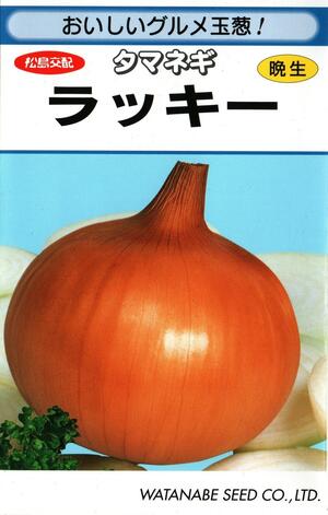 野菜種子　タマネギたね　(渡辺採種場)　ラッキー　3，1ml詰　/　20ml詰　/　1dl詰　/　ペレット200粒詰　/　ペレット500粒詰　/　ペレット1万粒詰　【送料込み】