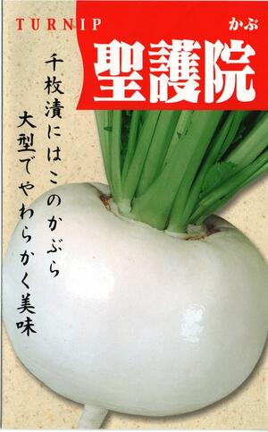 野菜種子　『渡辺採種場』　　かぶ種子　聖護院かぶ　　8ml詰(約1440粒)／20ml詰／1dl詰　　【送料込み】のサムネイル