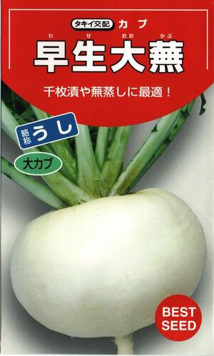 野菜種子　カブたね　(タキイ種苗)　早生大蕪　うし　20ml袋詰　【送料込み】