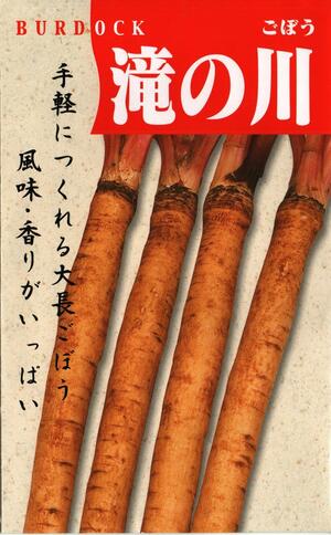 野菜種子 ゴボウ「滝の川」9ml（約280粒）／20ml／50ml／1dl（タキイ種苗）　【送料込み】 純三年子滝..
