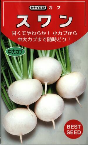 野菜種子 カブ「スワン」　3.5ml（約950粒）／6.5ml／20ml／1dl（タキイ種苗）　【送料込み】 すわん 蕪 かぶ 小カブ 中大カブ サラダカブ 漬物のサムネイル