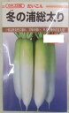 野菜種子　ダイコン (かねこ種苗)　冬の浦総太り　4.9ml詰　【送料込み】 低温伸長性に優れ、甘みの強い、冬どり用の青首大根 短根や中太りになりにくい総太り型 肌は滑らかでツヤがあり、肉質は緻密で、ス入りは特に遅く、甘みが特に強いです。草姿は中間型、草勢は中程度、耐寒性が強く、抽苔はやや遅い。作型は、暖地と中間地の9月下旬〜10月上中旬まき、1〜2月どり栽培などに適しています。2月どり栽培では根長38cm前後となります。 低温伸長性に優れる青首大根 短根や中太りになりにくい総太り型 肉質緻密で、ス入り遅く　甘みが特に強い 低温伸長性に優れる大根をお探しの方 甘みが強く緻密な大根をお考えの方 短根や中太りになりにく大根をお考えの方 かねこ種苗さんの冬の浦だいこんは各社秋の総太り型大根を販売していますが、その中でも中間的な総太りだいこんではないでしょうか？草姿も中間型　草勢も中程度　病気に対ししてもそこそこで　スも入りくい大根ですね。でも中間的だから失敗のない甘みの強い大根が作れるのです。あまり失敗のない作りやすい大根でこの冬をお過ごしください。 1