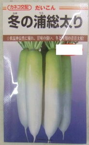 野菜種子　ダイコン (かねこ種苗)　冬の浦総太り　4.9ml詰　【送料込み】