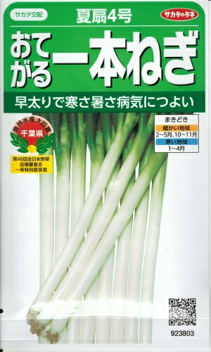 野菜種子 おてがる一本ねぎ「夏扇4号」3ml（約350粒）／20ml／1dl／ペレット200粒／ペレット500粒／ペレット6,000粒（サカタのタネ） 【送料込み】 なつおうぎ4ごう 一本葱 一本ネギ 長葱 長ネギ 長ねぎ