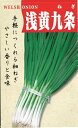 野菜種子 葉ネギたね (タキイ種苗) 浅黄系九条 13ml袋詰 (約1900粒) 【送料込み】