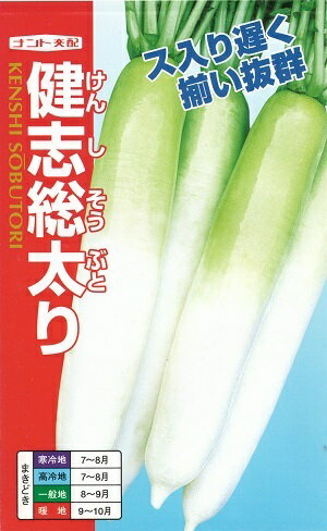 野菜種子 ダイコン「健志総太り（けんしそうぶとり）」　7ml／20ml（約530粒)／2dl（ナント種苗）　【送料込み】 大根／だいこん