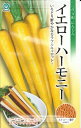 野菜種子 ニンジン「イエローハーモニー」 260粒(丸種) 【送料込み】人参 にんじん カラフルキャロット