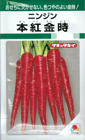 野菜種子　『タキイ種苗』　ニンジンたね　本紅金時　7ml袋詰　【送料込み】のサムネイル