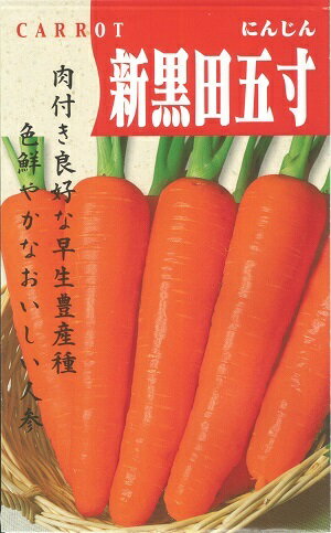 野菜種子　『タキイ種苗』　ニンジン種子　新黒田五寸　9ml詰／20ml詰／50ml詰／1dl詰／1L詰　【送料込み】のサムネイル