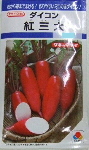 野菜種子　　『タキイ種苗』　　ダイコン種子　紅三太　7ml詰(約700粒)／20ml詰／50ml詰／2dl詰　　【送料込み】