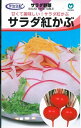 野菜種子　『丸種株式会社』　かぶタネ　サラダ紅かぶ　(CR紅てまり)　1.8ml袋詰　【送料込み】