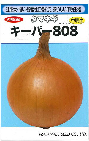 野菜種子　『渡辺採種場』　タマネギたね　キーパー808　2.8ml袋詰　【送料込み】のサムネイル