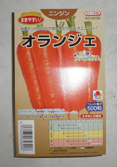 野菜種子 ニンジン「オランジェ」　ペレット500粒／ペレット1万粒（タキイ種苗）　【送料込み】 五寸人参／にんじん