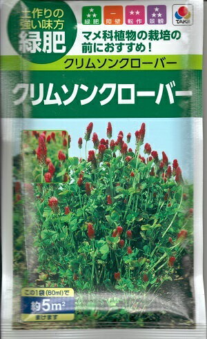 【おてがるキャベツ】金系201号【サカタ交配】（0.8ml）野菜種[春まき][秋まき]922002