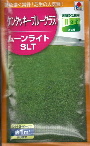 芝の種子 タキイ種苗 お庭の芝生用 ケンタッキーブルーグラス ムーンライトSLT 60ml袋詰 約1分 【送料込み】 冬も緑