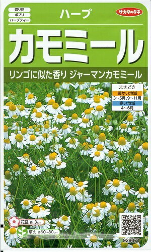 ハーブ種子　『　サカタのタネ　』　カモミール　0.9ml袋詰め　【　送料込み　】