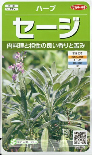 ハーブ種子　『　サカタのタネ　』　セージ　2.9ml袋詰　【　送料込み　】 肉料理と相性のいい香りと苦み 地中海沿岸に自生する常緑低木で、強めの香りと苦みが脂肪分の多い肉料理によく合い、ソーセージに利用されるほか、ハーブティーでも人気があります。若い葉や花をつみ、生または乾燥させたものを使います。 2