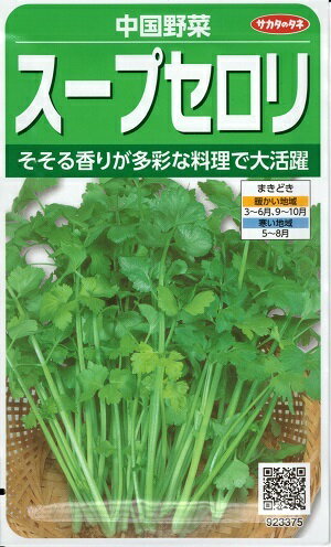 ハーブ種子 サカタのタネ スープセロリ 3ml袋詰 【 送料込み 】
