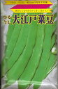 野菜種子 つるなしインゲン「大江戸菜豆」 30ml/1dl/1L(佐藤政行種苗) 【送料込み】