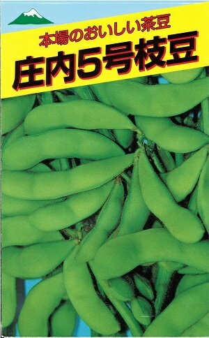 野菜種子　『佐藤政行種苗』　えだまめ種子　庄内5号枝豆　50ml詰／1dl（約150粒）／1L詰　【送料込み】