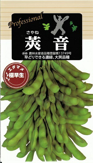 野菜種子 エダマメたね 雪印種苗 莢音 70ml袋詰 【送料込み】