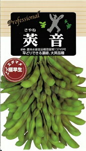 野菜種子 エダマメ「莢音(さやね)」30ml(約45粒)/70ml/1L(雪印種苗) 【送料込み】 枝豆 えだまめ 極早生 抑制栽培 農林水産省登録第13749号