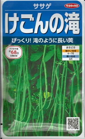 野菜種子　ささげたね　（サカタのタネ）　けごんの滝　6．5ml袋詰　【送料込み】