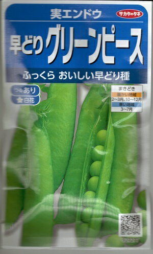 野菜種子 実エンドウ「早どりグリーンピース」　20ml（サカタのタネ）【送料込み】　つるあり えんどう..