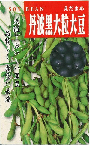 野菜種子 『タキイ種苗』 えだまめ種子 丹波黒大粒大豆 35ml詰(約30粒)／1dl詰／1L詰 【送料込み】