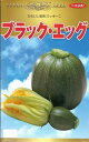 野菜種子　『神田育種農場』　ズッキーニ種子　ブラック・エッグ　10粒詰／30粒詰／50粒詰／100粒詰　【送料込み】