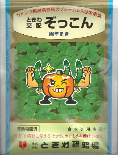 野菜種子　『ときわ研究場』　台木専用南瓜　ぞっこん　350粒袋詰　【送料込み】