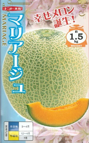 野菜種子　メロンたね