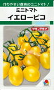 野菜種子 『ミニトマトタネ』 タキイ交配 (タキイ種苗) イエローピコ 27粒袋詰/1000粒詰 【送料込み】