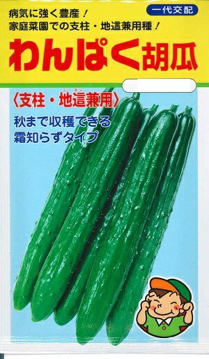 野菜種子 キュウリ「わんぱく胡瓜」　30粒（タキイ種苗）　【送料込み】わんぱくきゅうり 家庭菜園 支柱・地這兼用 多収のサムネイル