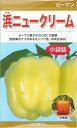 野菜種子 ピーマン「浜ニュークリーム」 0.7ml(カネコ種苗) 【送料込み】