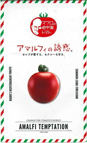 野菜種子　中玉トマトたね　『パイオニアエコサイエンス』　マウロの地中海トマト　アマルフィーの誘惑　8粒袋詰　