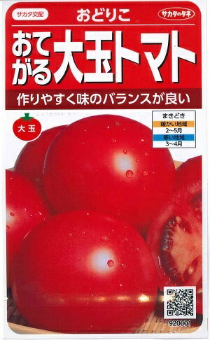 野菜種子　大玉トマトたね　『サカタのタネ』　おてがる大玉トマト　おどりこ　0.5ml袋詰　【送料込み】　約35本分