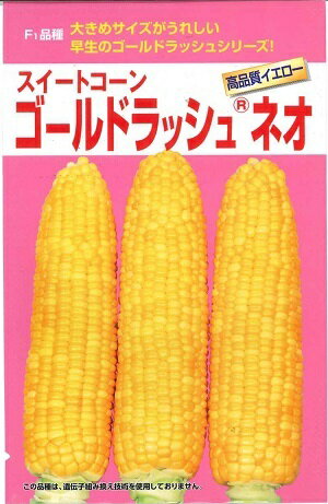 野菜種子　トウモロコシ種　『サカタのタネ』　ゴールドラッシュ ネオ　55粒詰　/　200粒詰　/　500粒詰　/　2000粒詰　【送料込み】